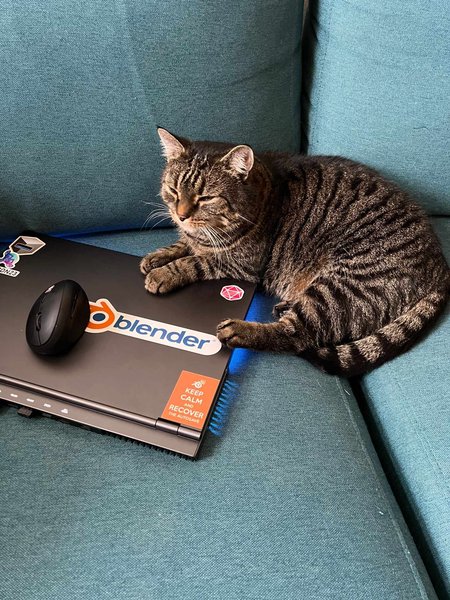 /images/blog/2024-02-engon-party/gallery/cat_oliver_laptop.jpg