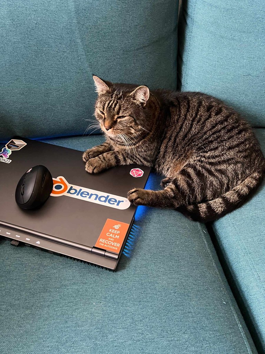 cat_oliver_laptop.jpg