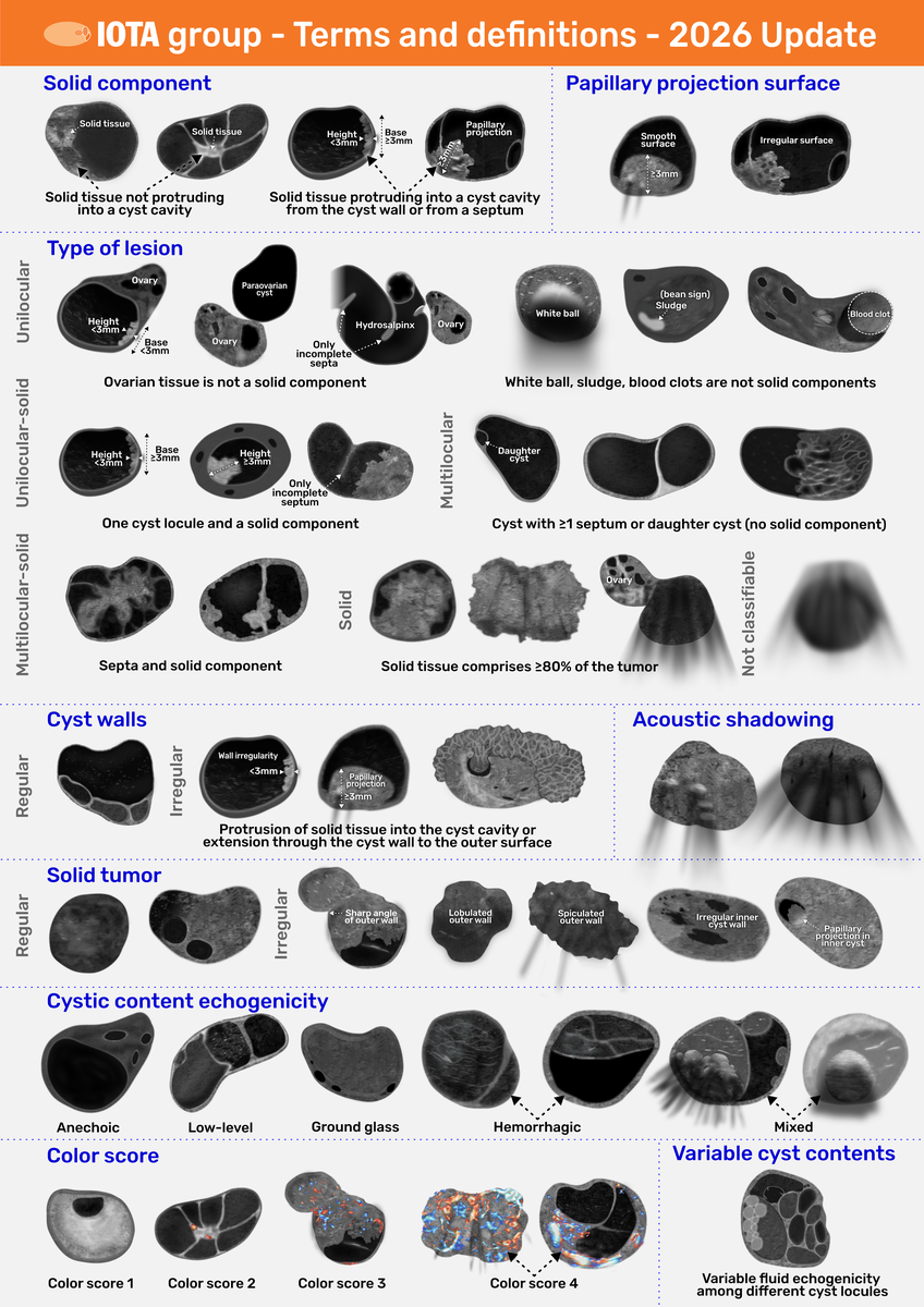 26-01-14   IOTA   Terms And Definitions   2026.png