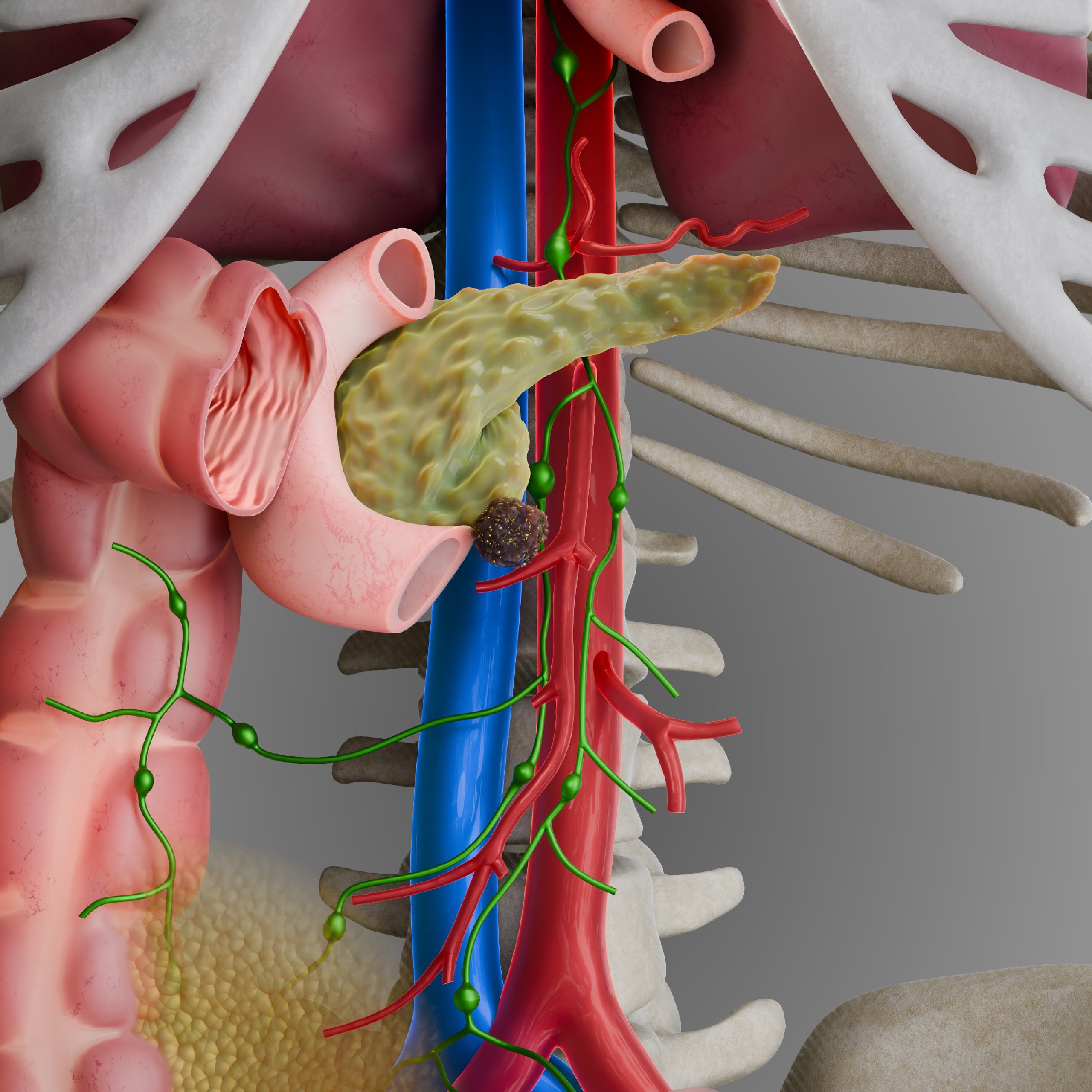 Medical Schemes for prof. MUDr. Daniela Fischerová, Ph.D.