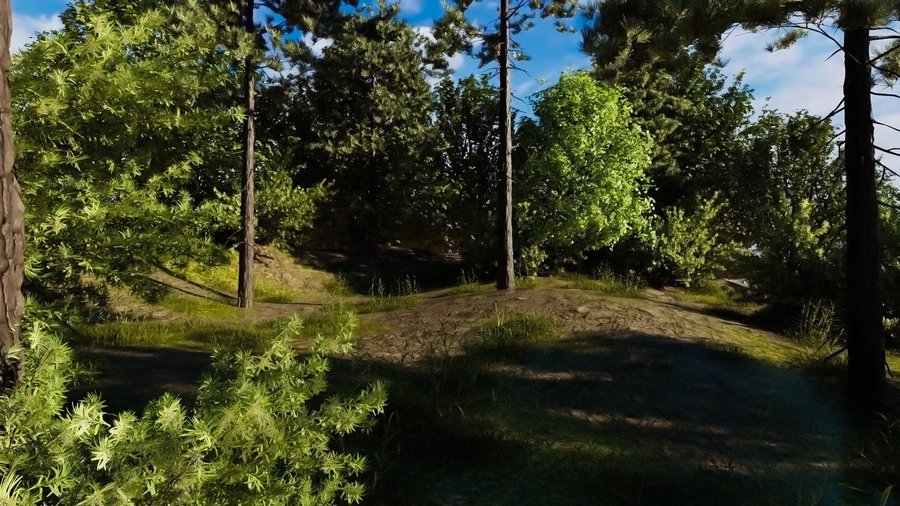 /images/software/botaniq_maya/gallery/coniferous_forest.jpg
