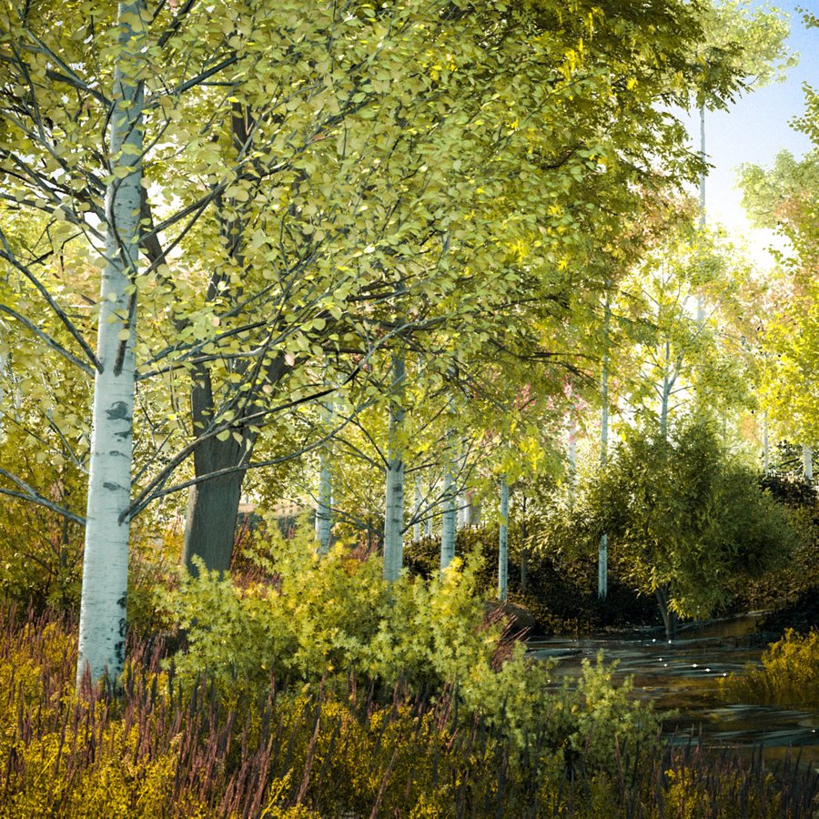/images/software/botaniq_maya/gallery/forest_late_summer.jpg