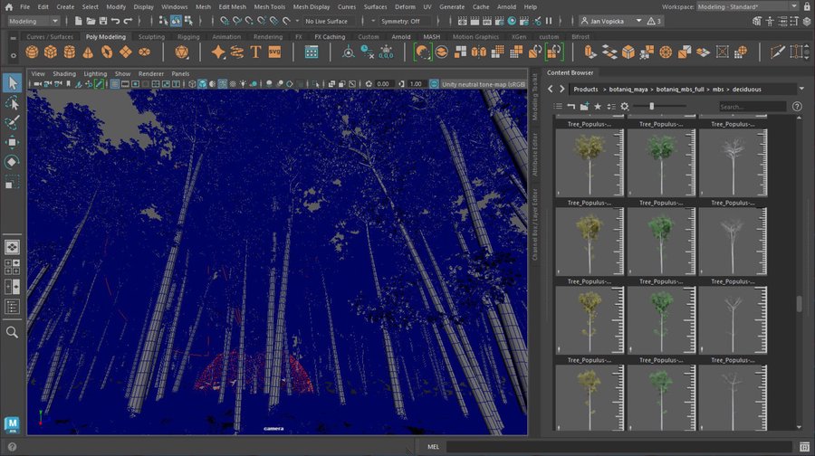 /images/software/botaniq_maya/gallery_viewport/a_viewport_wire.jpg