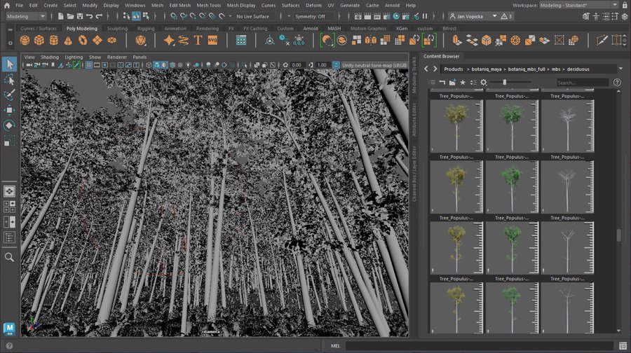 /images/software/botaniq_maya/gallery_viewport/b_viewport_solid.jpg