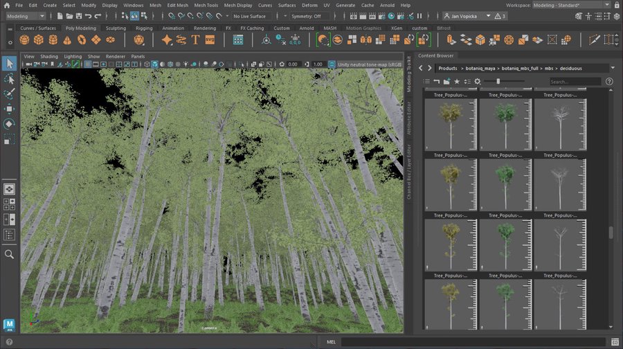/images/software/botaniq_maya/gallery_viewport/viewport_diffuse.jpg